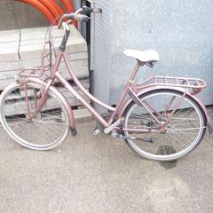 Volare roze, iLost를 사용하여 Gemeente Noordwijk에 보고됨