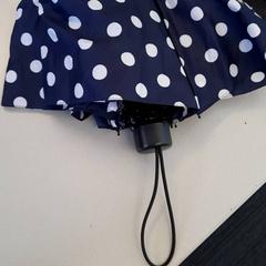 Összecsukható esernyő Blauw wit, amint azt Connexxion Zeeuws-Vlaanderen az iLost segítségével jelentette.