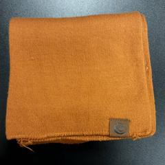 Châle Oker geel, a été signalé par Arriva Vechtdallijnen utilisant iLost