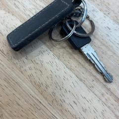 Chave da bicicleta, segundo informou Gemeente Wageningen usando iLost