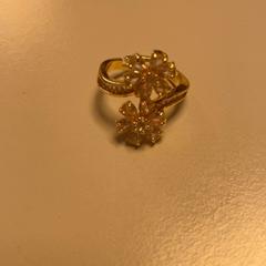 指輪 がiLostで Pathé Schiedam によって報告されました