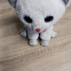 Oso de peluche, segundo informou EBS Spijkenisse usando iLost