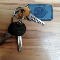 Schlüsselbund mit 3 Schlüsseln, como reportado por Wilmering Vechta utilizando o iLost