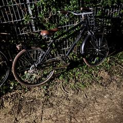 Fiets, ako bolo nahlásené iLost