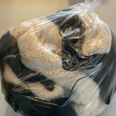 Giacca Schwarz mit weißen Fließ, come riportato da MEININGER Hotel Berlin Airport utilizzando iLost