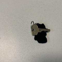 Nøkkel, som rapportert av Breng Arnhem ved bruk av iLost