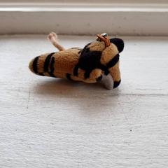 İLost kullanarak DierenPark Amersfoort tarafından bildirildiği gibi Anahtarlık