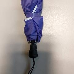 Opvouwbare paraplu, zoals gemeld door Regio West-Vlaanderen met iLost