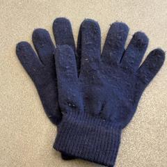 Rukavice blau, jak nahlášeno Schönbrunn "Group Center" pomocí iLost