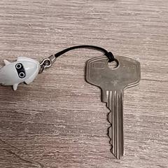 المفاتيح (متنوعة)، كما تم الإبلاغ عنه بواسطة EBS Spijkenisse عبر iLost