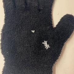 Luvas, segundo informou Het Amsterdamse Winterparadijs usando iLost