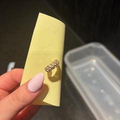 Orecchino, come riportato da Hotel Van der Valk Harderwijk op de Veluwe utilizzando iLost