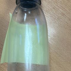 Bouteille d'eau, a été signalé par Sheraton Brussels Airport Hotel utilisant iLost