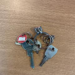 Chaves, como reportado por Gemeente Amsterdam utilizando o iLost