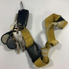 Nøkkelring, som rapportert av Gemeente Ede ved bruk av iLost