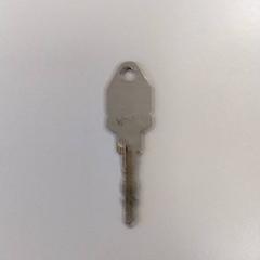 Chave Zilver, como reportado por Vrije Universiteit Amsterdam utilizando o iLost