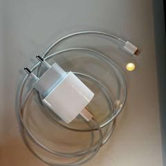 Adapter, gemeldet von Room Mate Bruno über iLost