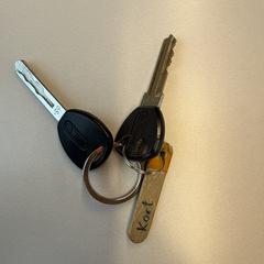 Fiets sleutels, as reported to iLost