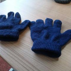Handschoenen, zoals gemeld door Arriva West-Brabant met iLost