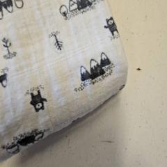 Netejar, segons ha informat GVB mitjançant iLost