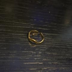 Anell, segons ha informat Van der Valk Hotel Utrecht mitjançant iLost