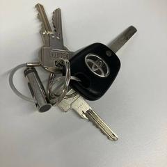 Chiave Toyota, come riportato da Gemeente Rijswijk utilizzando iLost