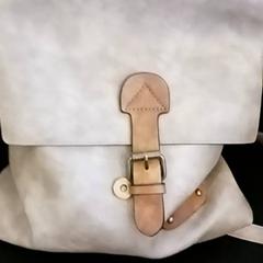 Sac, a été signalé par RRReis IJssel-Vecht utilisant iLost