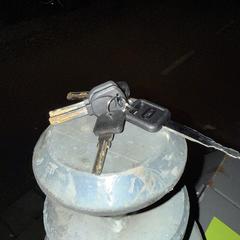 Sleutelbos, 5 sleutels, amint azt az iLostnak jelentették.