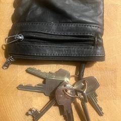 sleutelbos, como reportado ao iLost