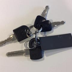 Clauer 4 sleutels en sleutelhanger, segons ha informat Gemeente Veenendaal mitjançant iLost