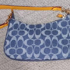 Saco, como reportado por Arriva West-Brabant utilizando o iLost