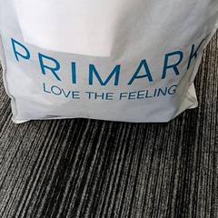 Väska Primark, rapporterat av Arriva Vechtdallijnen med iLost