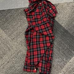 Bloesje  Strep, som rapportert av Jaarbeurs ved bruk av iLost