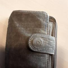 Carteira, como reportado por LUMC utilizando o iLost