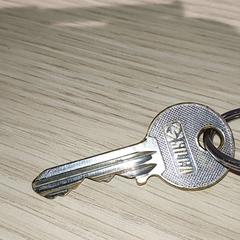 Klucze, zgłoszono przez Regio Antwerpen - Brussel przy użyciu iLost