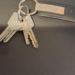 Sleutelbos, come riportato da Gemeente Ermelo utilizzando iLost