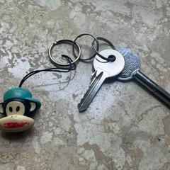 Sleutels, gemeldet von Gemeente Stichtse Vecht über iLost