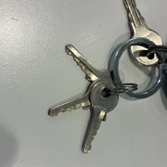 Kľúče Zilver/zwart, ako bolo nahlásené Gemeente Waalwijk pomocou iLost