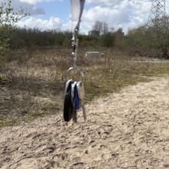 Keys an iLost gemeldet