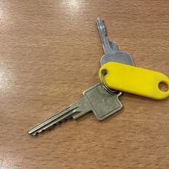 Chaves, como reportado por Gemeente Amsterdam - Bureau Gevonden Voorwerpen utilizando o iLost