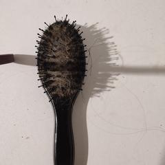 Haarborstel, jak zgłoszono do iLost