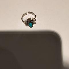 Prsten, jak nahlášeno Bibliotheek Neude (Utrecht) pomocí iLost