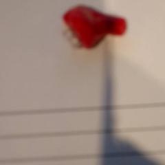 Bouchon d'oreille Rood, a été signalé par TivoliVredenburg utilisant iLost