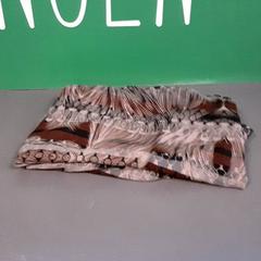 Szal, zgłoszono przez Diergaarde Blijdorp przy użyciu iLost