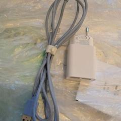 어댑터, iLost를 사용하여 Inntel Hotels Utrecht Centre에 보고됨