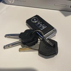 Sleutelbos a été signalé sur iLost