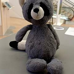 Cuddly toy Raton laveur, as reported by IKEA Nantes using iLost