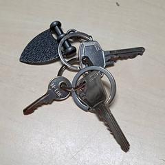 Nøkler, som rapportert av Arriva Oost-Brabant ved bruk av iLost