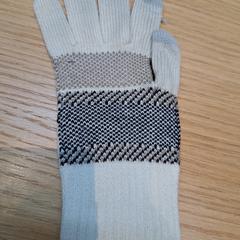 Handschoen, ha sido reportado por Rijksmuseum van Oudheden con iLost