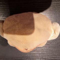 İLost kullanarak TCL tarafından bildirildiği gibi Cüzdan marron